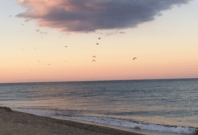 Capture d’écran 2018-03-02 à 12.17.28.png