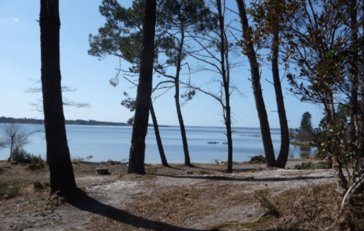 Capture d’écran 2018-03-09 à 09.54.25.png