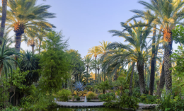 Capture d’écran 2018-03-13 à 10.36.26.png