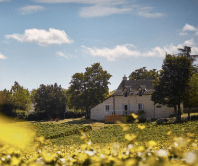 Capture d’écran 2018-03-26 à 17.47.53.png