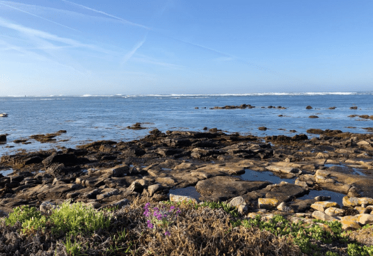 Capture d’écran 2018-04-30 à 17.48.33.png