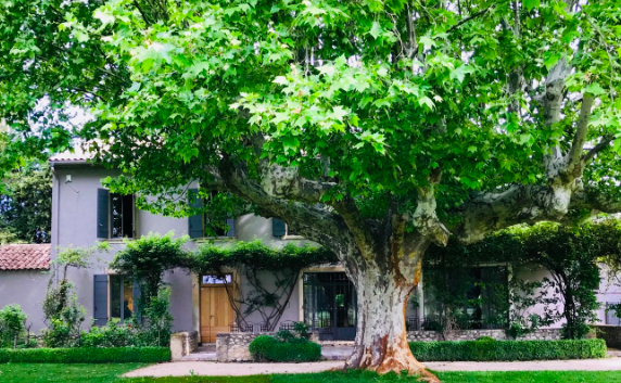 Capture d_écran 2018-07-17 à 16.40.55